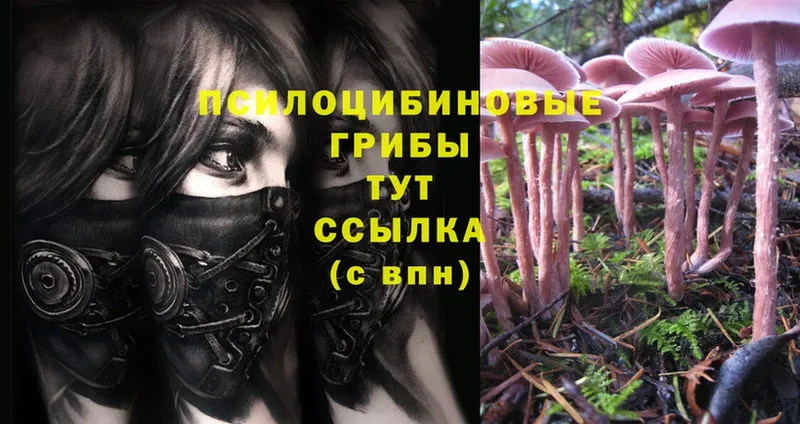 Псилоцибиновые грибы мухоморы  купить наркоту  Троицк 